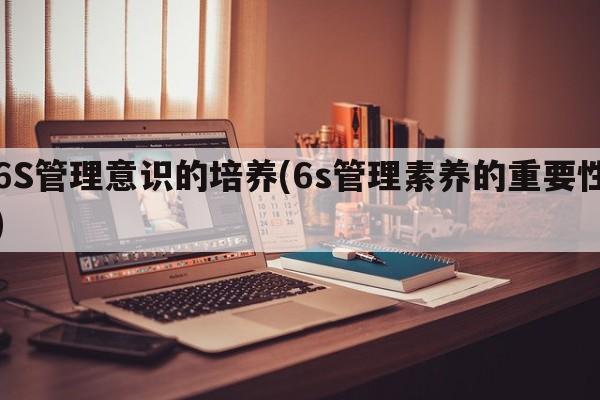 6S管理意识的培养(6s管理素养的重要性)